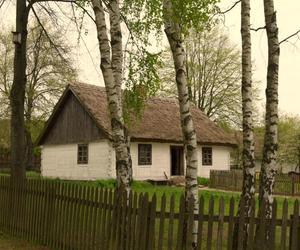 Muzeum Wsi Mazowieckiej - skansen w Sierpcu