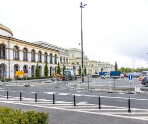 Sadzenie zieleni na placu Bankowym w maju 2025 r.