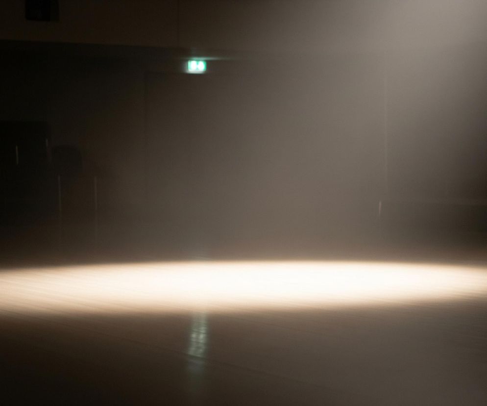 Centralnym elementem obrazu jest jasny snop światła skierowany z góry na dół, tworzący okrągłą, intensywnie oświetloną powierzchnię na drewnianej podłodze. Promień światła rozprasza się w zamglonym powietrzu, tworząc stożkowaty kształt w górnej części kadru, gdzie jasność jest mniejsza. Otoczenie jest ciemne, niemal czarne, z ledwo widocznymi, niewyraźnymi elementami architektonicznymi w tle, takimi jak krawędź ściany i ciemne obiekty na jej powierzchni. W lewym górnym rogu obrazu widać zielone światło emitowane przez obiekt przypominający znak wyjścia awaryjnego.
