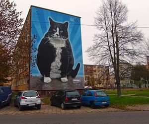 Mural z kotem Gackiem już odsłonięty