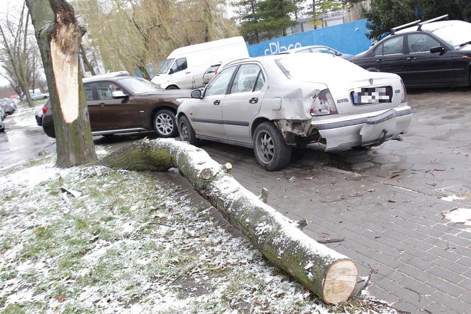 Śnieżyca, wichura w Warszawie