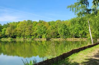 Kraków - Park Tetmajera