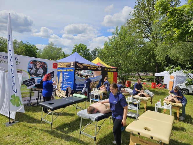 Festiwal Przyjaciół Zwierząt w Olsztynie. Park Centralny opanowały radosne pieski