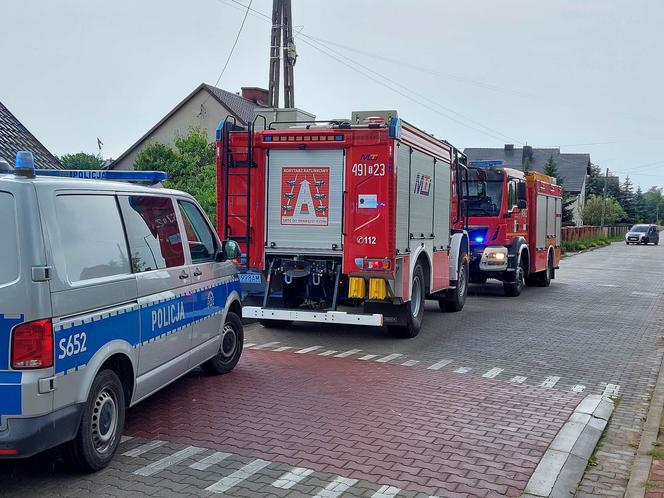 Śnięte ryby na Smugowej w Starachowicach