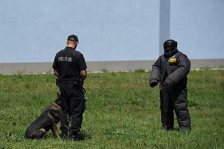 Turniej psów policyjnych w Zaczerniu koło Rzeszowa