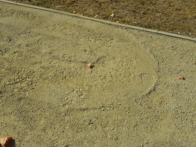 Czy teraz lepiej? Wykonawca poprawił ścieżki na al. Słowackiego w Lesznie