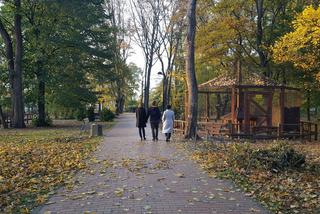 Park 1000-lecia w Lesznie na chwilę przed zachodem słońca