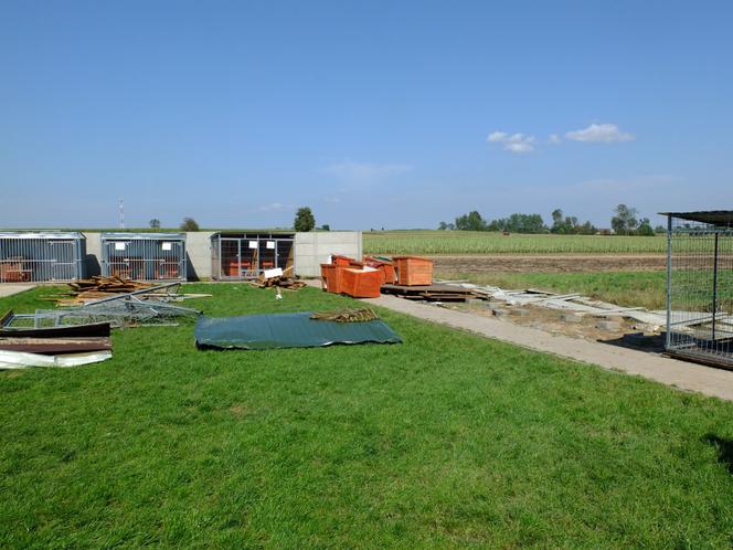 Trąba powietrzna przeszła przez schronisko dla psów. Psiakom na szczęście nic się nie stało, straty materialne są niestety duże