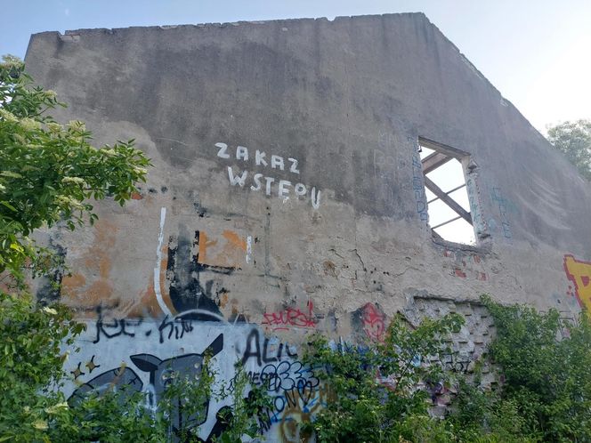 Opuszczona owczarnia w Fordonie. Obcym nie jest łatwo tam trafić. Legendy mówią, że kiedyś rządzili tam sataniści 