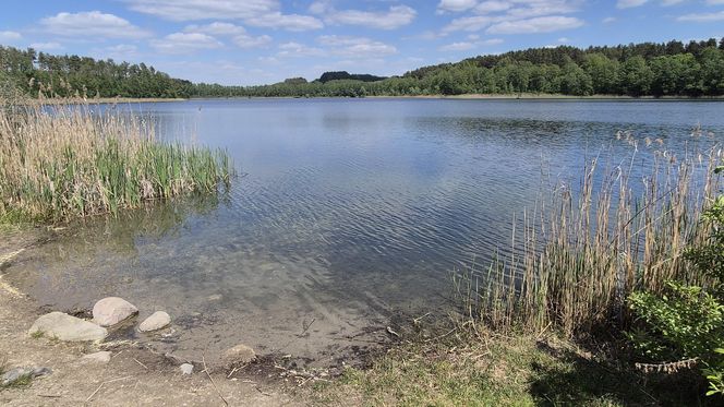 To jezioro w Olsztynie ma niezwykle czystą wodę. Jest kilka dzikich plaż, które świecą pustkami