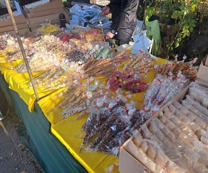 Wszystkich Świętych 2025 w Krakowie