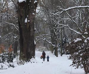 Czy w Lublinie spadnie śnieg na Boże Narodzenie? [PROGNOZY]