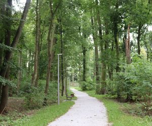 Zabytkowy park pod Lubawą zmienił się nie do poznania. Teraz wygląda jak z bajki