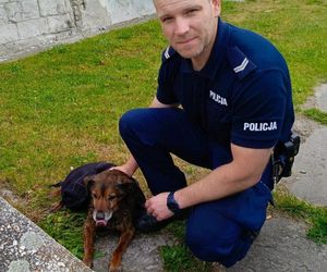 Bohaterska postawa policjanta. Z narażeniem własnego życia uratował psa