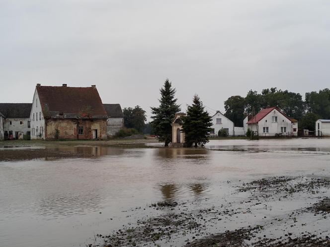 Nim przyszła fala powodziowa, sąsiedzi pomogli pani Gizeli 