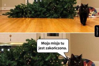 Najlepsze memy o ubieraniu choinki