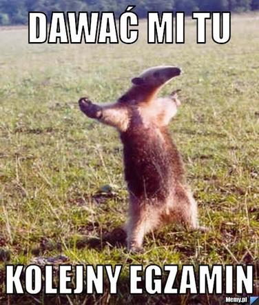 Egzamin ósmoklasisty 2024 memy! Padniesz ze śmiechu, gdy to zobaczysz [GALERIA]