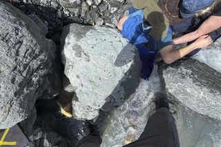 Przygniótł go 300-kilogramowy głaz i żyje! Zobacz zdjęcia z akcji ratunkowej