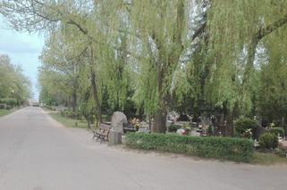 Gorzowski cmentarz na razie nie zostanie zamknięty