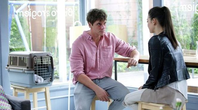 M jak miłość odc. 1239. Naomi (Mayu Gralińska Sakai), Marcin Chodakowski (Mikołaj Roznerski)