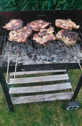 Grillowanie w łódzkich parkach