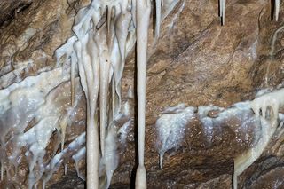 Nowe odkrycie w Jaskini Niedźwiedziej w Kletnie. Naukowcy dostali się do Sali Mastodonta [ZDJĘCIA].