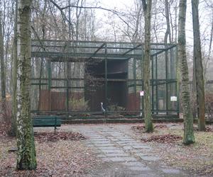 Zoo w Poznaniu zimą