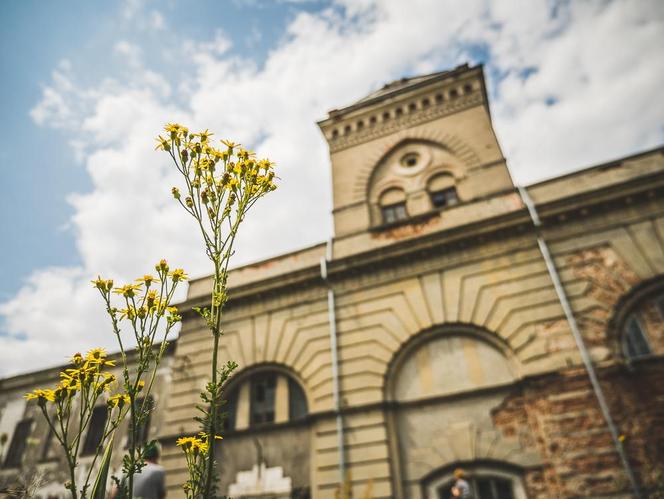 Urlop śladem Wisły. Co zwiedzić, gdzie pojechać? Idealny pomysł na tematyczną wycieczkę po Polsce