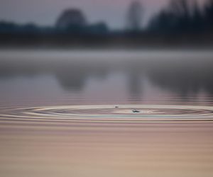 Skoda w stawie w Borkach Wielkich. Co uratowało kierowcę z tonącego pojazdu?