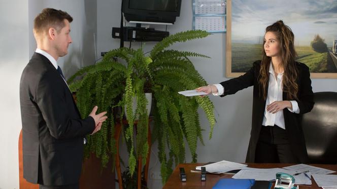 M jak miłość odcinek 1374, Paweł (Rafał Mroczek), Kalina (Karolina Sawka)