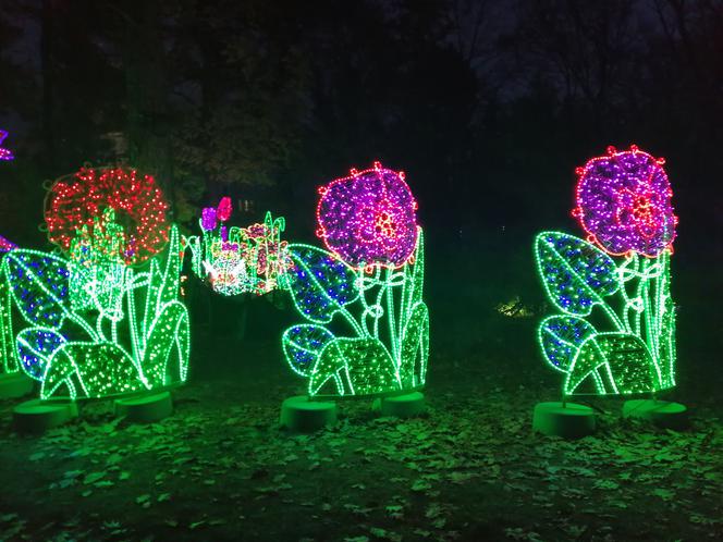 Park Iluminacji w Poznaniu