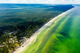 To najpiękniejsza plaża na Pomorzu według AI