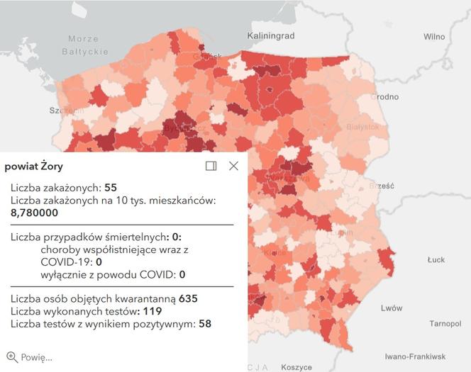 Koronawirus w województwie śląskim. Tak wygląda sytuacja w poszczególnych powiatach [RAPORT, 19 MARCA]