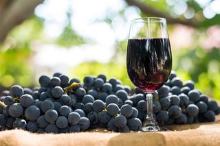 Jak zrobić wino z ogrodowych winogron - domowe wino krok po kroku