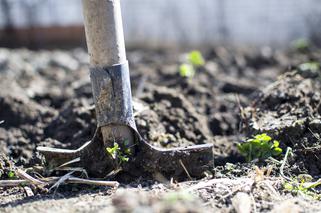 Szczecin: Zadał cios w klatkę piersiową. Zwłoki zakopał na skwerze