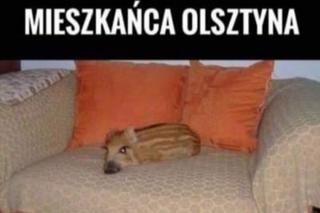 Najlepsze memy o Olsztynie. Z tego śmieją się internauci