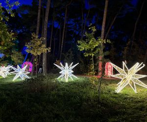 Lumina Park w Poznaniu powrócił. Ile kosztują bilety? W jakich godzinach jest otwarty? 