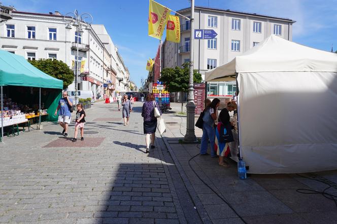 Święto Kielc 2024. Jarmark Kielecki na deptaku