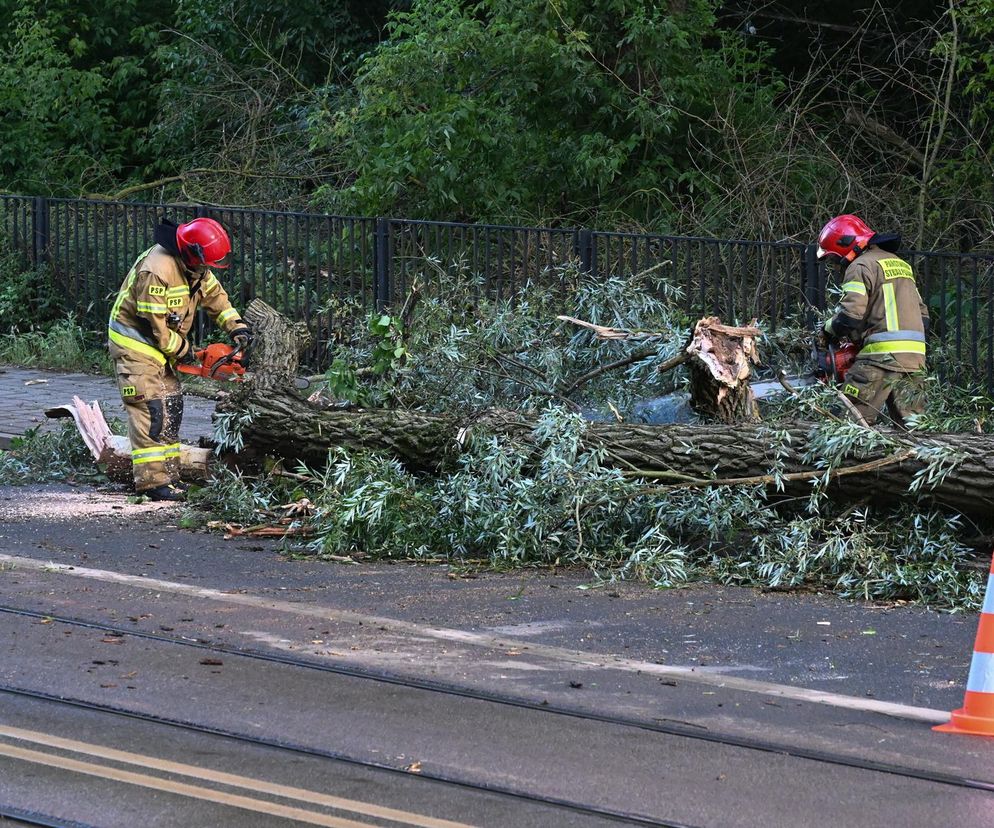 Takich nawałnic nie było od dawna! Szokujące dane