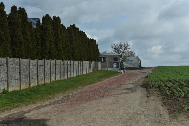 Odciął Arturowi głowę. Z zazdrości o przepiękną Milenę. Przerażające kulisy koszmarnej zbrodni