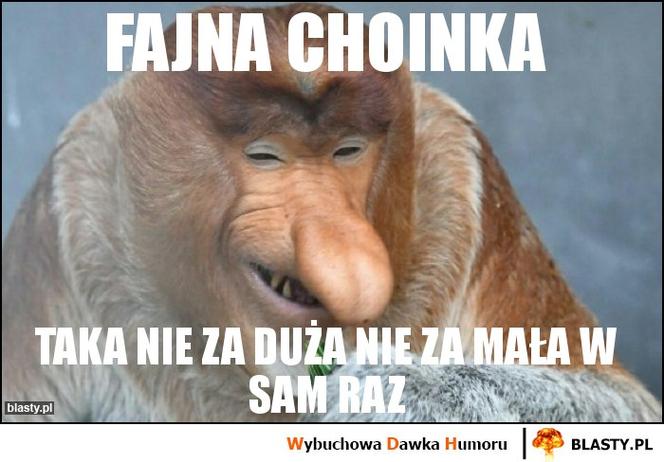 Choinka memy
