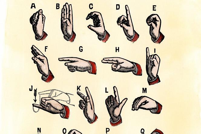 Język migowy