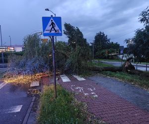 Orkan przechodzi przez Śląsk. Gwałtowne burze i ulewny deszcz