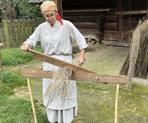 Niedzielna z lnem w Muzeum Wsi Lubelskiej. Trudno w to uwierzyć, że to taka niesamowita roślina