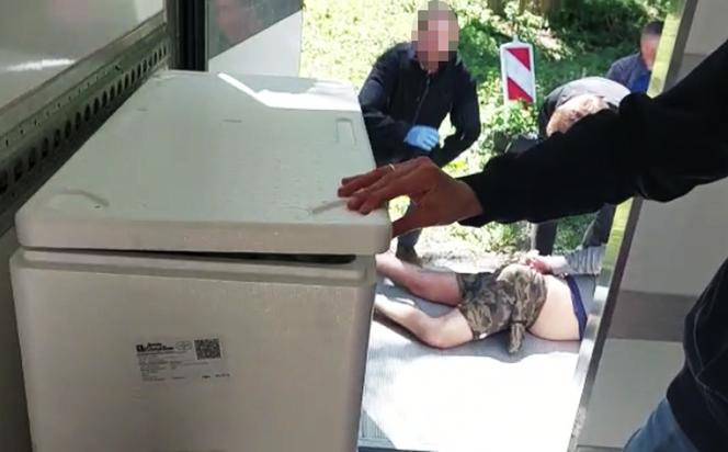 Warszawa. Przywieźli chłodnią 35 kilogramów marihuany z Hiszpanii, wpadli na Mokotowie