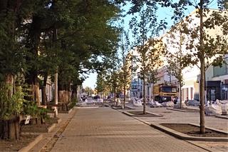 Przebudowa alei Wojska Polskiego na półmetku