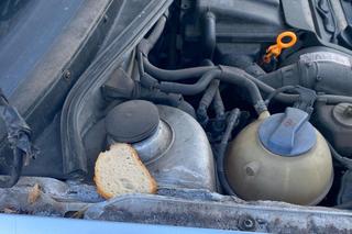 Co oznacza chleb pod maską samochodu? To może być poważny problem
