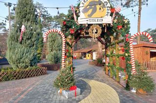 To już ostatni moment, by odwiedzić Wioskę świętego Mikołaja pod Bydgoszczą. Byliśmy tam i mamy zdjęcia