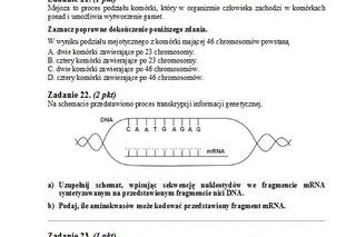 Matura 2013 biologia p. podstawowy