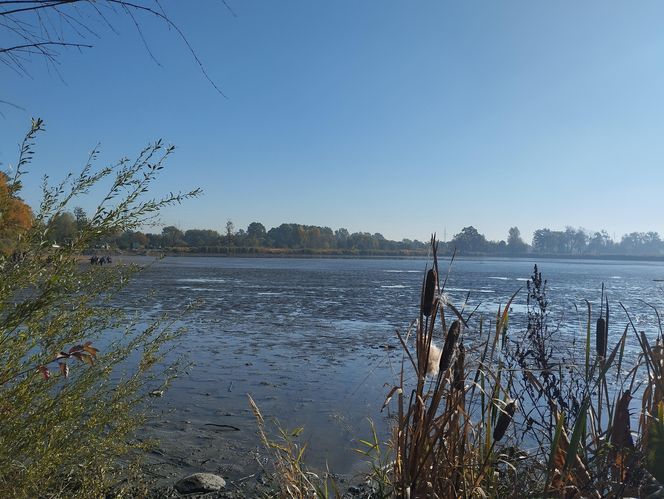 Zaginięcie Karoliny Wróbel. Wypompowano wodę ze zbiornika, a służby przeczesują dno